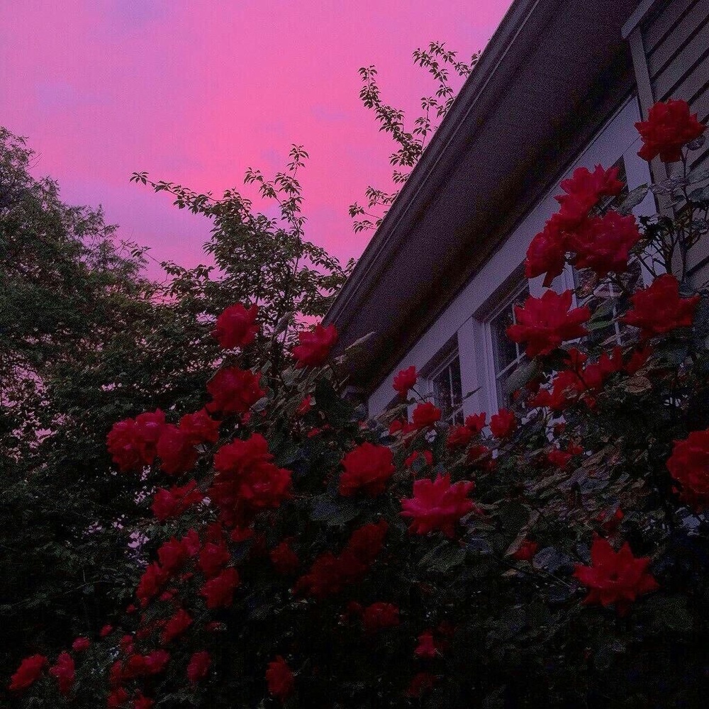 will be shipping out tomorrow